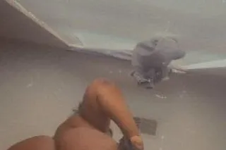 Lavish - 25 - Image 4