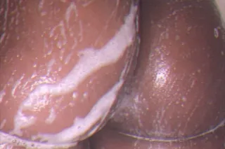 SLIMM SHORT PUSSY TIGHT AND WE... - Image 3